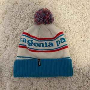 Patagonia Winter Hat